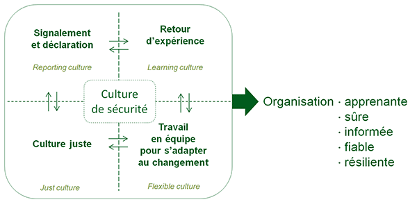 culture securite du patient schema