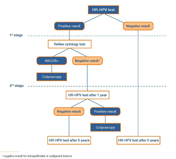 HPV english