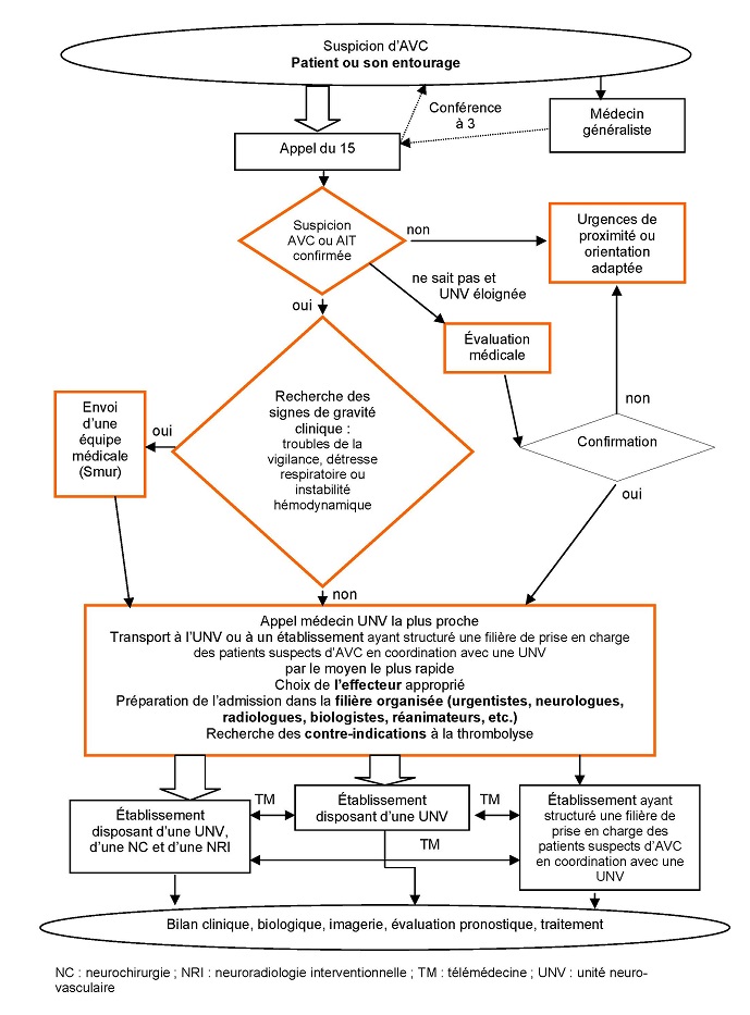 AVC prise en charge precoce