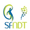 logo-sfndt small