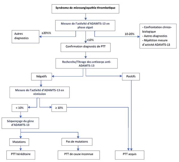 Strategie d’exploration d’ADAMTS-13 dans le diagnostic du PTT