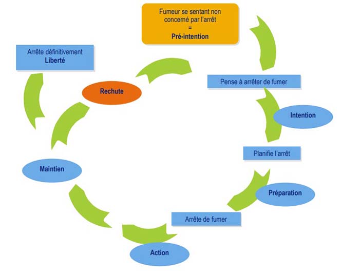 Exemple de conceptualisation avec modèle transthéorique