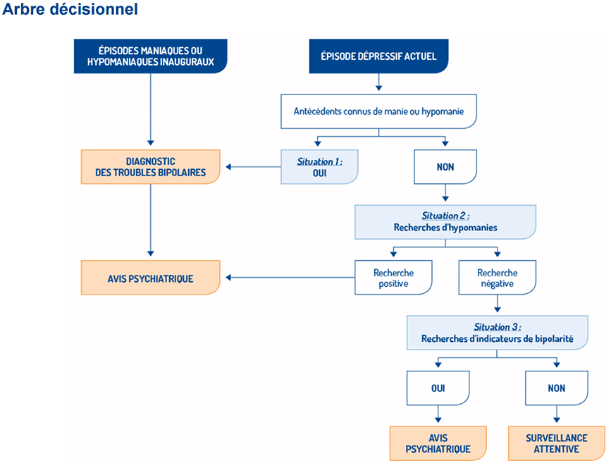 patient trouble bipolaire arbre decisionnel