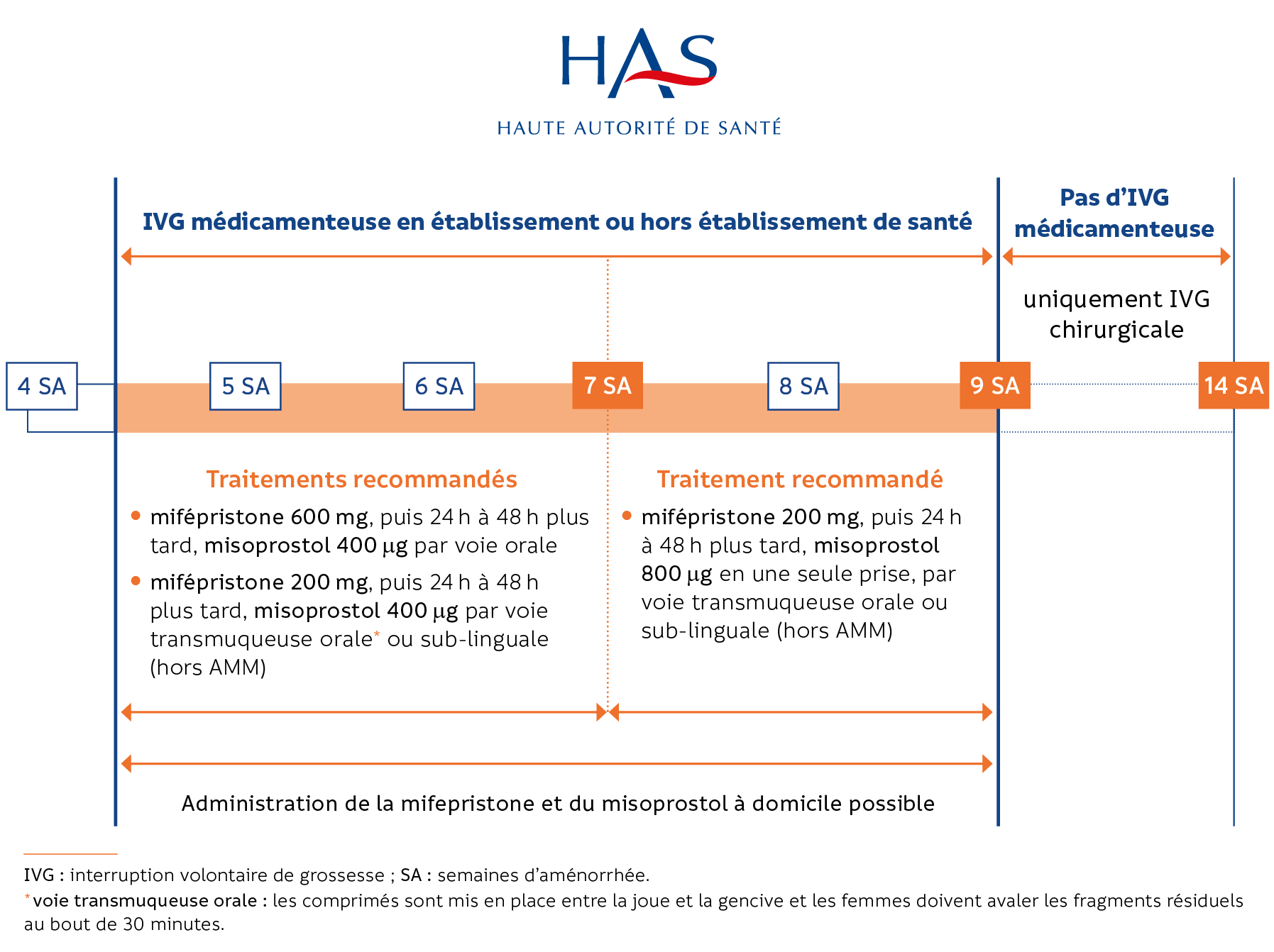 Synthèse - Interruption volontaire de grossesse par méthode médicamenteuse – Mise à jour