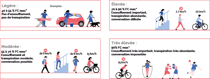 Niveaux Intensite Activite physique