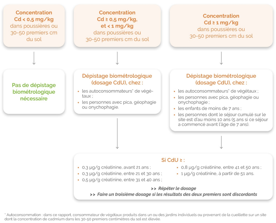 Stratégie de surveillance médicale des expositions et des effets sanitaires associés au cadmium du sol - logigramme